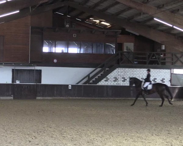 Reitturnier Bühren-Breckerfeld 2020