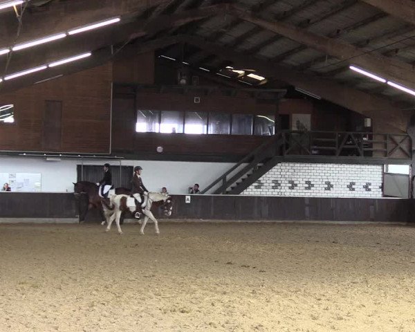 Reitturnier Bühren-Breckerfeld 2020