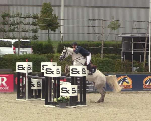 GOLDLEAGUE Lier - CS N 6323 - Azelhof