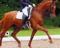 dressage horse Lilli of the Valley (Rhinelander, 2005, from Lebenskünstler)