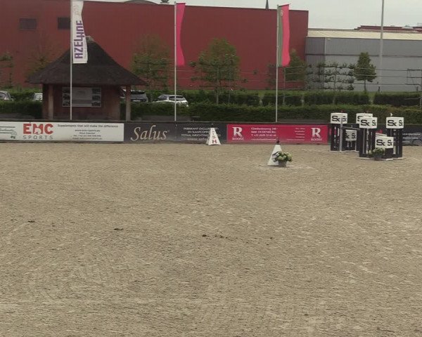 GOLDLEAGUE Lier - CS N 6323 - Azelhof