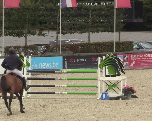 GOLDLEAGUE Lier - CS N 6323 - Azelhof