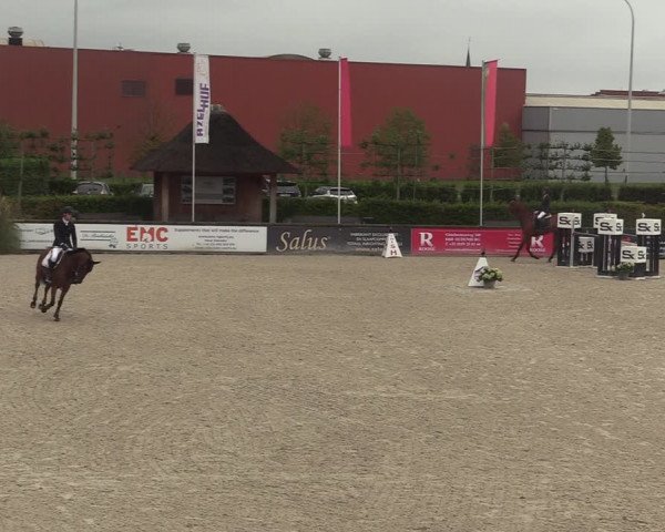 GOLDLEAGUE Lier - CS N 6323 - Azelhof