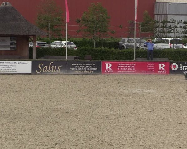 GOLDLEAGUE Lier - CS N 6323 - Azelhof