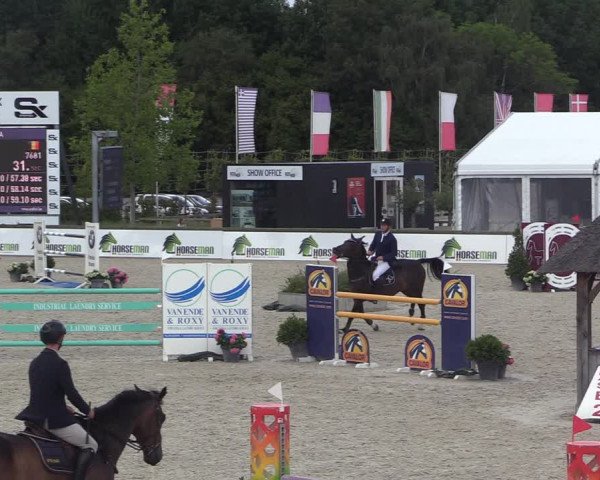 GOLDLEAGUE Lier - CS N 6323 - Azelhof
