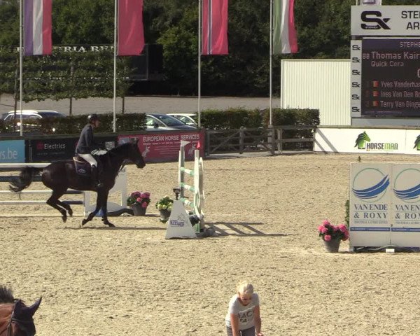 GOLDLEAGUE Lier - CS N 6323 - Azelhof
