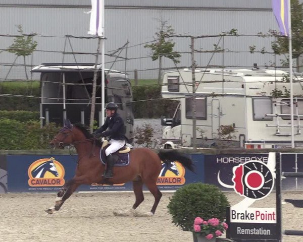 GOLDLEAGUE Lier - CS N 6323 - Azelhof