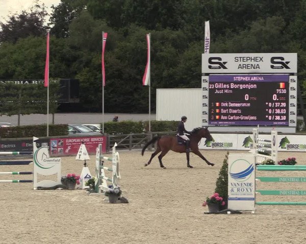 GOLDLEAGUE Lier - CS N 6323 - Azelhof