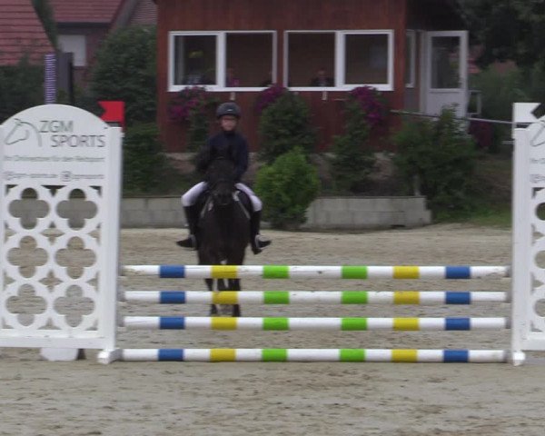 Reitturnier Ascheberg 2020