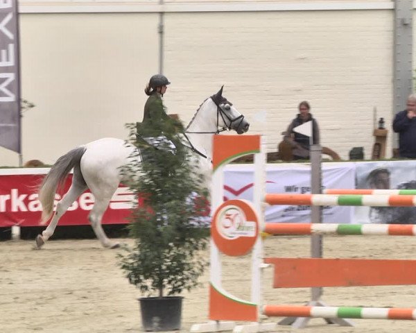 Reitturnier St.Wendel, Gestüt Welvert 2020