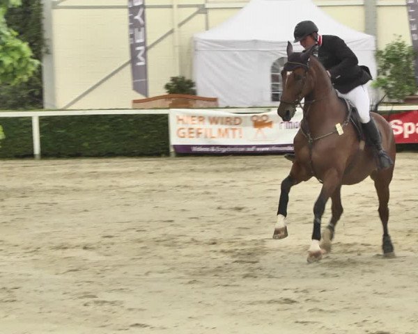Reitturnier St.Wendel, Gestüt Welvert 2020