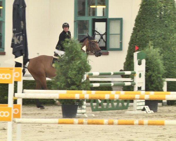 Reitturnier St.Wendel, Gestüt Welvert 2020
