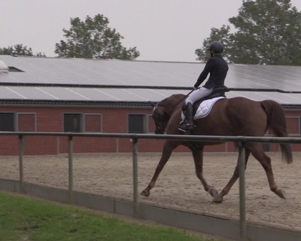 Reitturnier Ascheberg 2020
