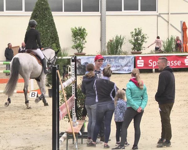 Reitturnier St.Wendel, Gestüt Welvert 2020