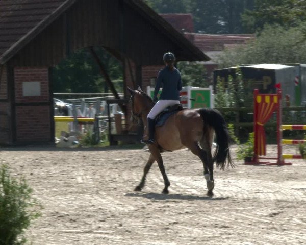 Reitturnier Münster-Nienberge 2020
