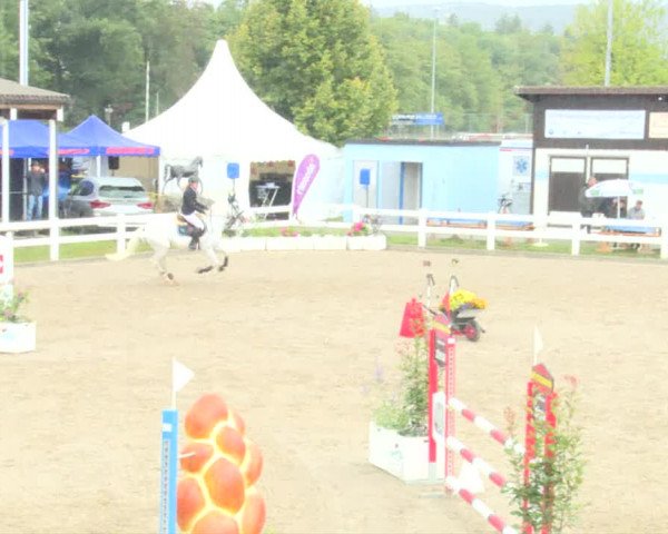 Reitturnier Hüntwangen 2020