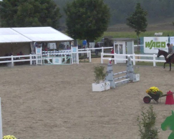 Reitturnier Hüntwangen 2020