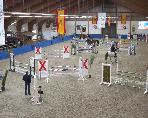 Reitturnier Sögel 2021