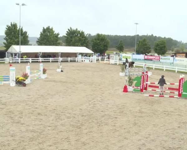 Reitturnier Hüntwangen 2020