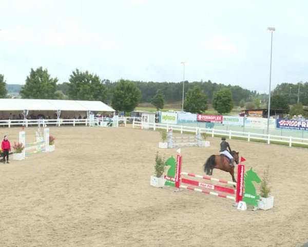 Reitturnier Hüntwangen 2020