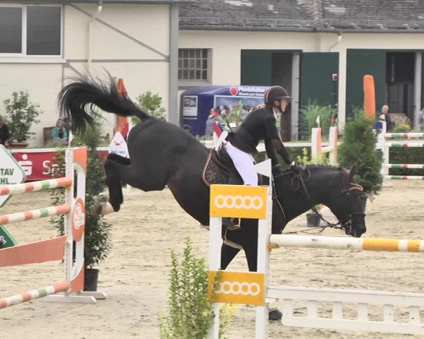 Reitturnier St.Wendel, Gestüt Welvert 2020
