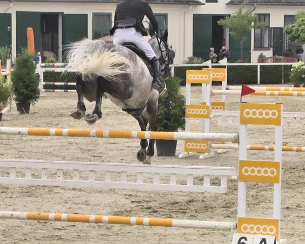 Reitturnier St.Wendel, Gestüt Welvert 2020
