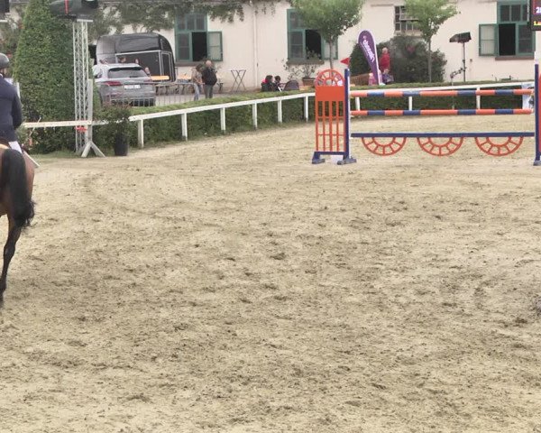 Reitturnier St.Wendel, Gestüt Welvert 2020