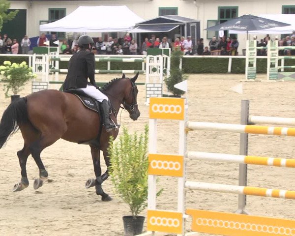 Reitturnier St.Wendel, Gestüt Welvert 2020