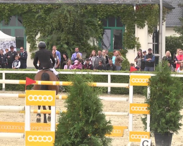 Reitturnier St.Wendel, Gestüt Welvert 2020