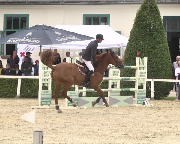 Reitturnier St.Wendel, Gestüt Welvert 2020