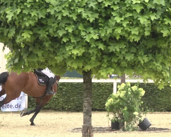 Reitturnier St.Wendel, Gestüt Welvert 2020