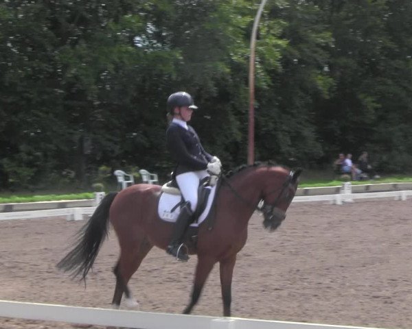 Reitturnier Dallgow 2020