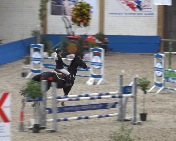 Reitturnier Sögel 2021
