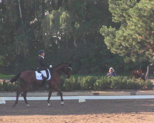 Rideturnering Dallgow 2020