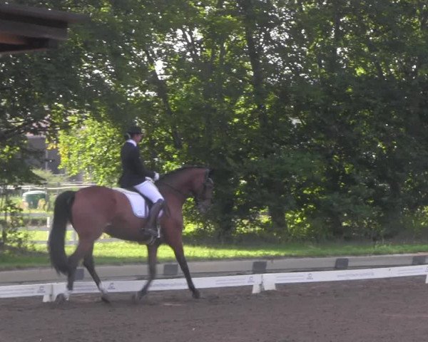 Reitturnier Dallgow 2020