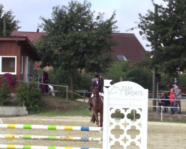 Reitturnier Ascheberg 2020