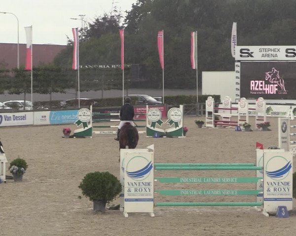 GOLDLEAGUE Lier - CS N 6323 - Azelhof