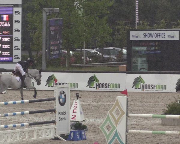 GOLDLEAGUE Lier - CS N 6323 - Azelhof