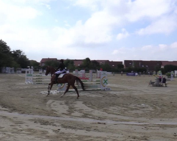 Reitturnier Ascheberg 2020