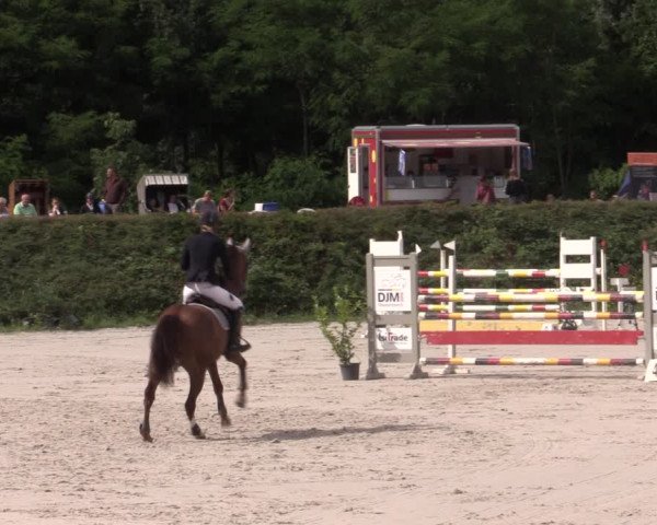 Reitturnier Pietzpuhl 2020