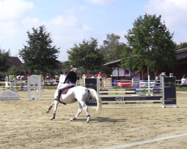Reitturnier Ascheberg 2020