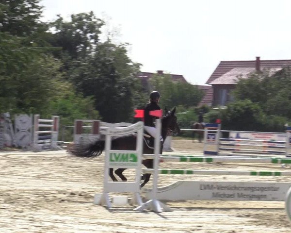 Reitturnier Ascheberg 2020