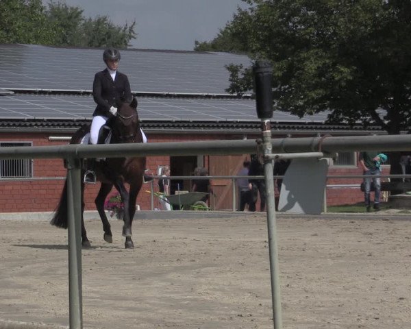 Reitturnier Ascheberg 2020