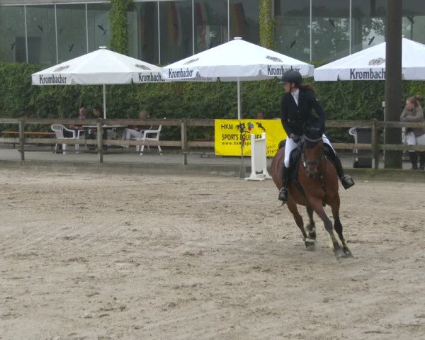 Reitturnier Münster-Nienberge 2020