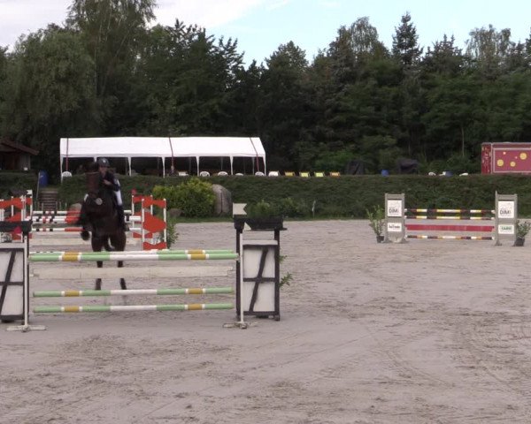Reitturnier Pietzpuhl 2020