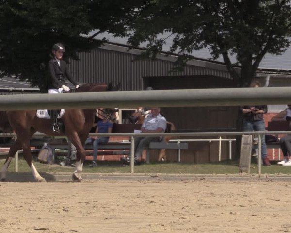 Reitturnier Ascheberg 2020