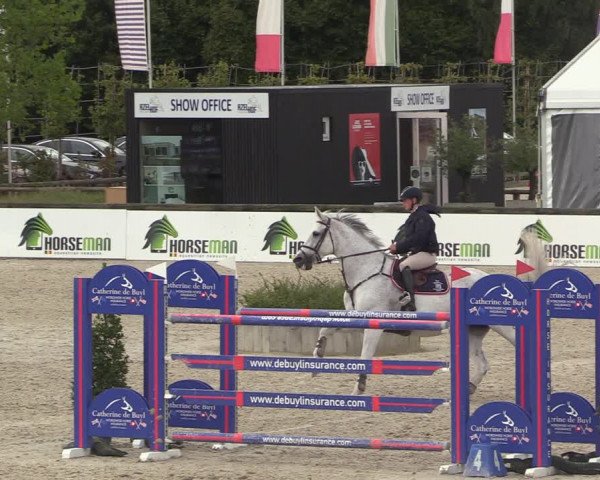 GOLDLEAGUE Lier - CS N 6323 - Azelhof