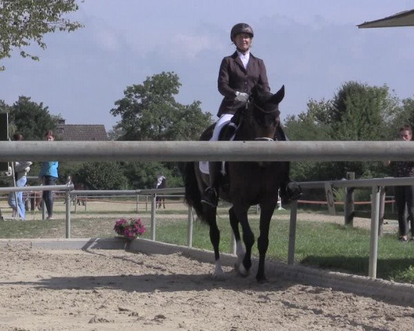 Reitturnier Ascheberg 2020