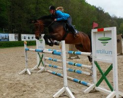 jumper Aquavit 66 (Oldenburg, 2005, from Albatros 86)