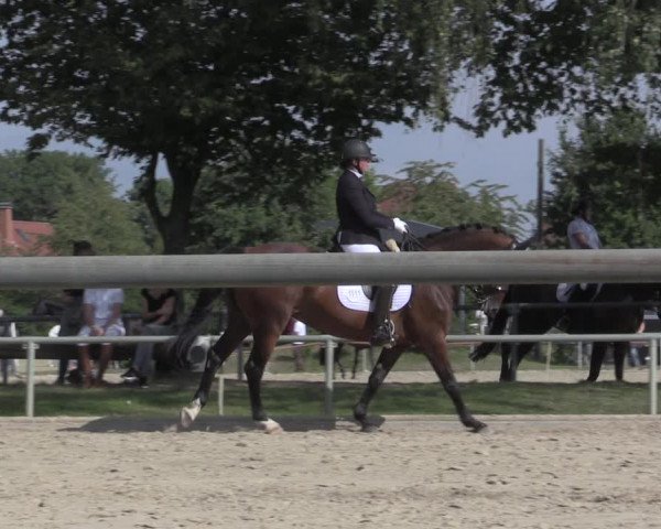 Reitturnier Ascheberg 2020